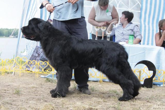 Фотография № 46390