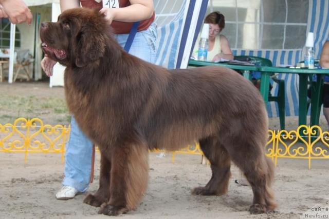 Фотография № 46393