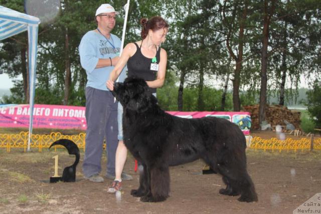 Фотография № 46398