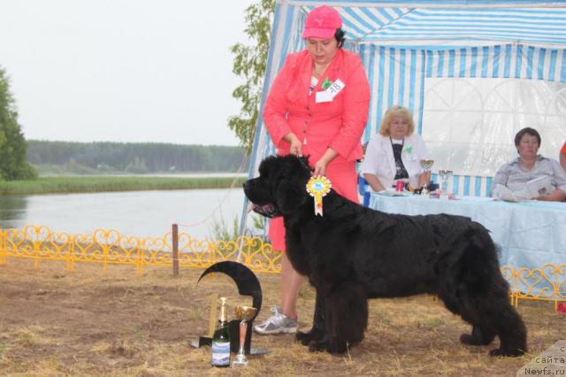 Фотография № 46401