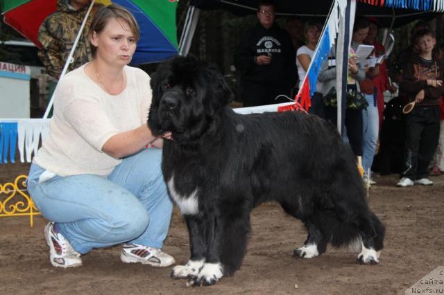 Фотография № 46403