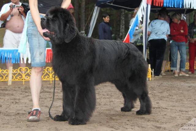 Фотография № 46408