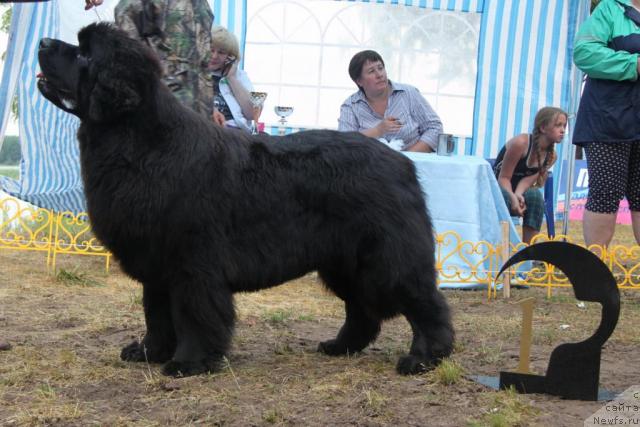 Фотография № 46410