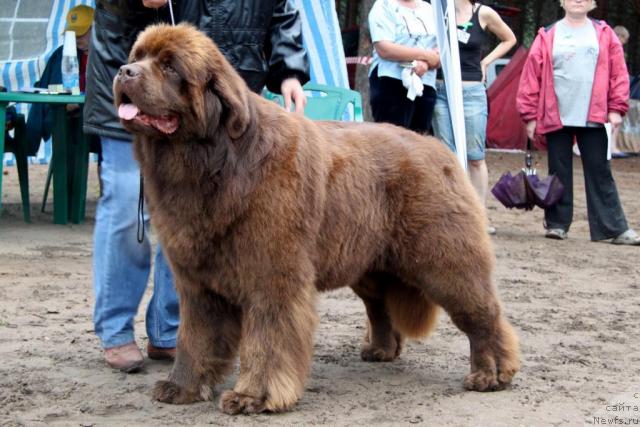 Фотография № 46414