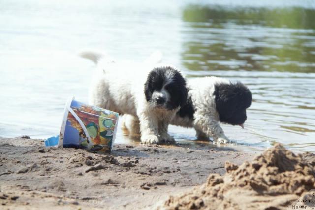 Фотография № 46416