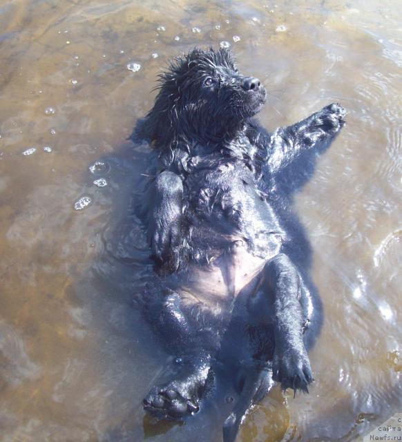 Фотография № 46440