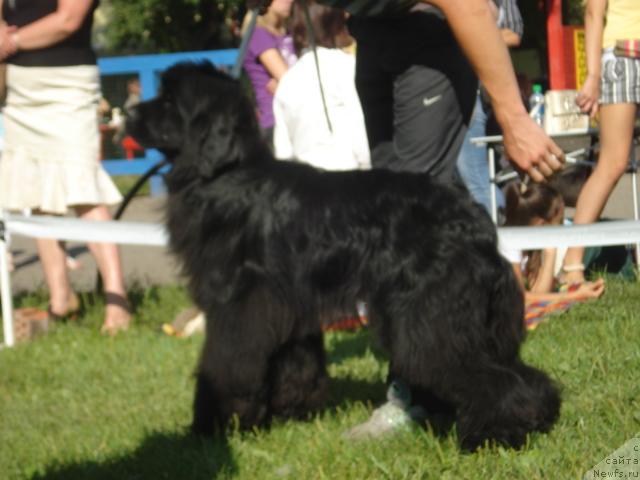 Фотография № 46483