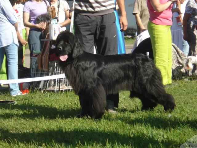 Фотография № 46486