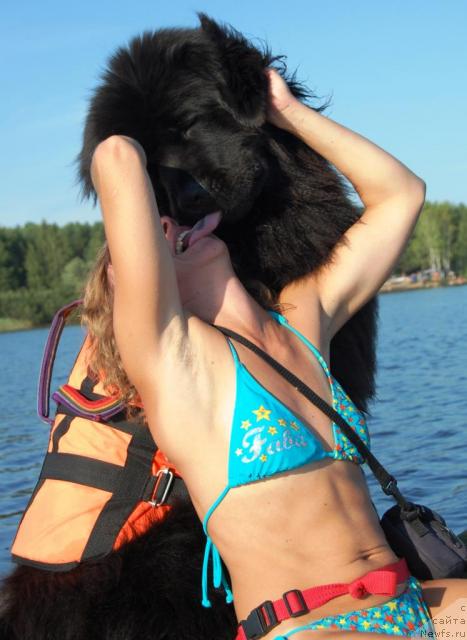 Фотография № 46487