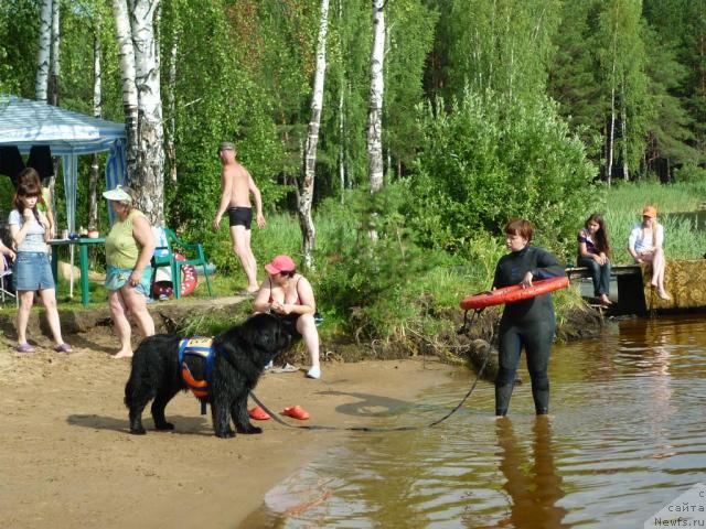 Фото: Татьяна Абутова