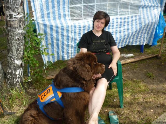 Фото: Ирина Назарова, ньюфаундленд Обуш Шед Юдашкин Стиль (Obush Shed Yudashkin Stil)