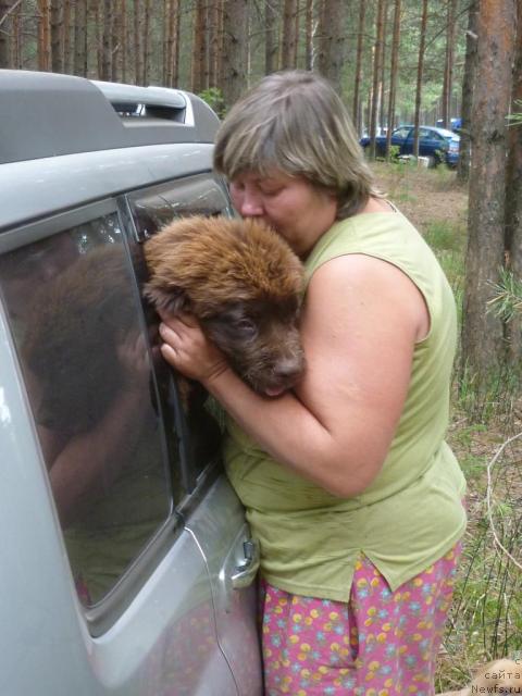 Фото: Ирина Габова