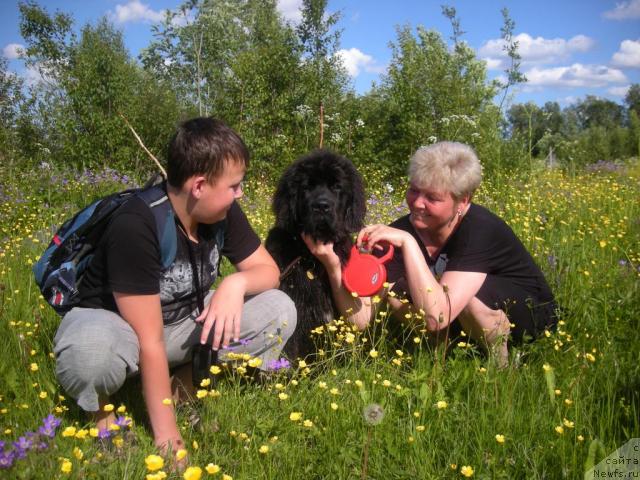 Фотография № 46533