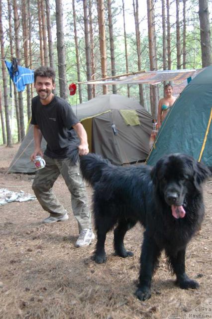 Фотография № 46545