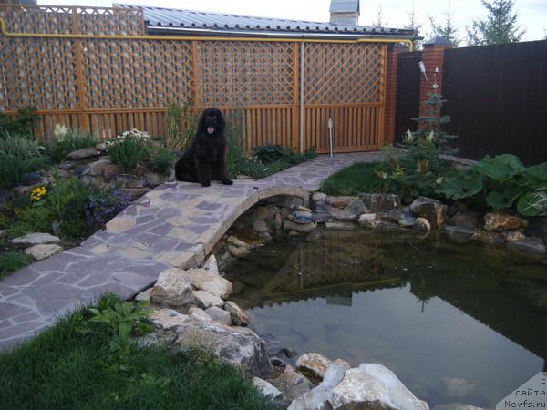 Фотография № 46622