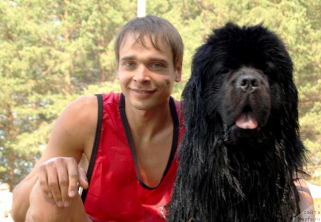 Фото: Максим Канунников, ньюфаундленд Супер Премиум Вашингтон