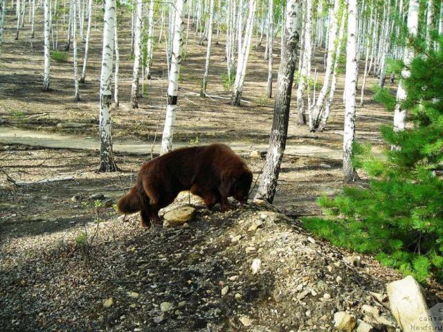 Фотография № 46661