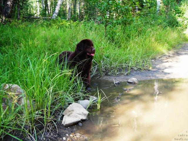 Фотография № 46665