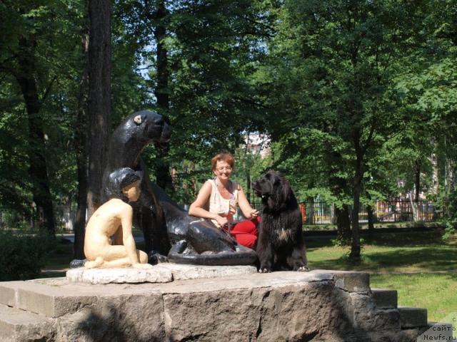 Фото: ньюфаундленд Блэк Диамонд Агидель от Потапа Сьюзэн