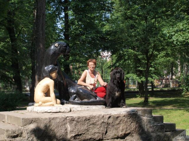 Фото: ньюфаундленд Блэк Диамонд Агидель от Потапа Сьюзэн