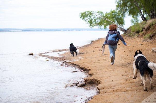 Фото: ньюфаундленд Маг Исполин Лавина (Mag Ispolin Lavina), Александра Веснина, ньюфаундленд Питерньюф Продижи (Piternyuf Prodigy)