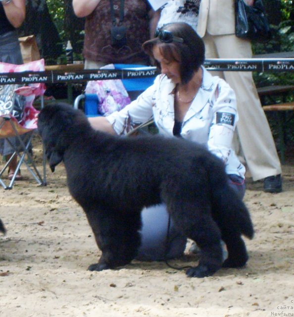 Фотография № 46711