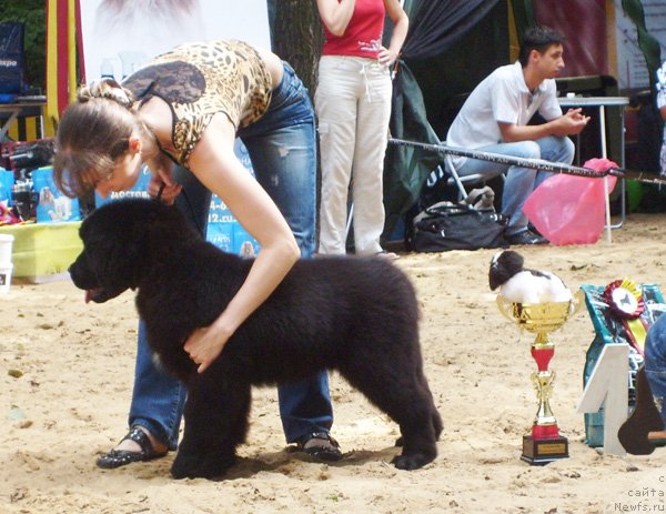 Фотография № 46715