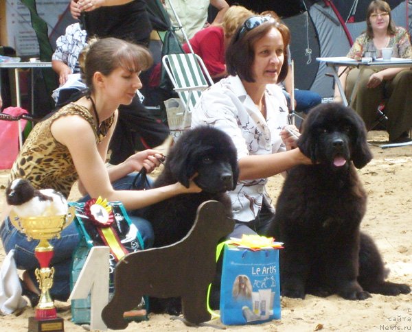 Фотография № 46720