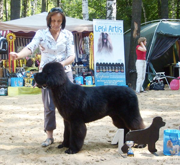 Фотография № 46724