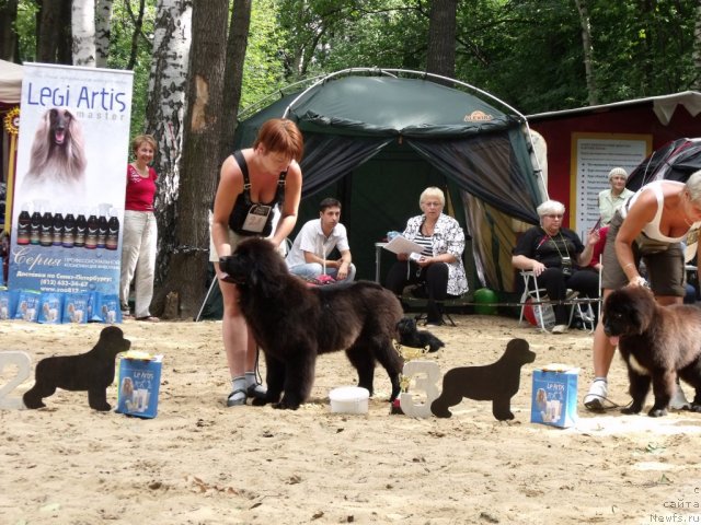 Фотография № 46727