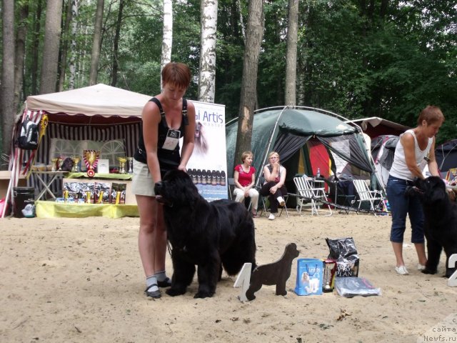 Фотография № 46728