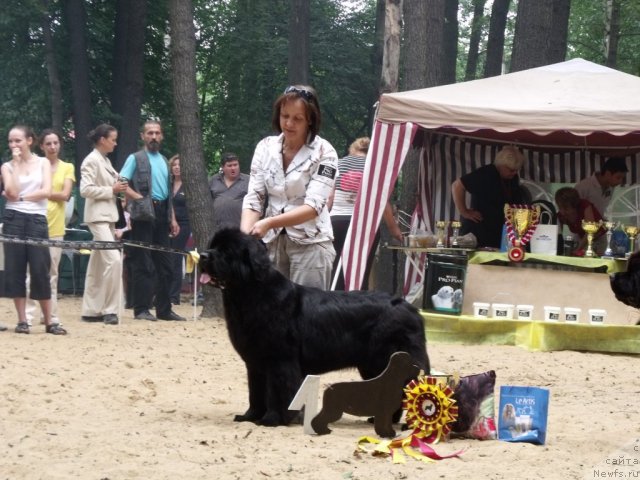 Фотография № 46733