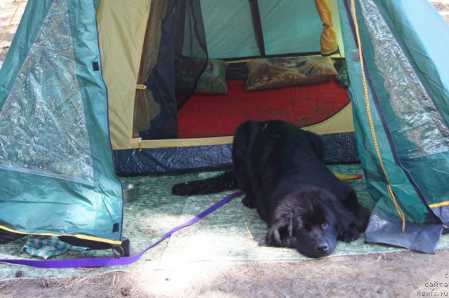 Фотография № 46735