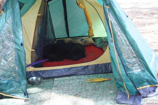 Фотография № 46737