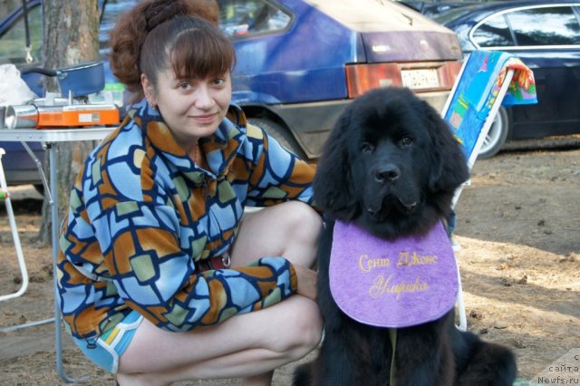 Фотография № 46738