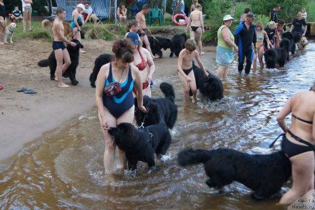 Фотография № 46740