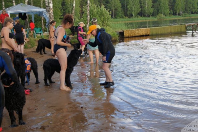 Фотография № 46741