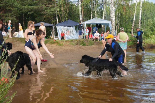 Фотография № 46743