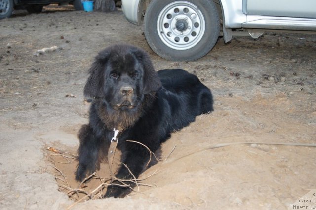 Фотография № 46749