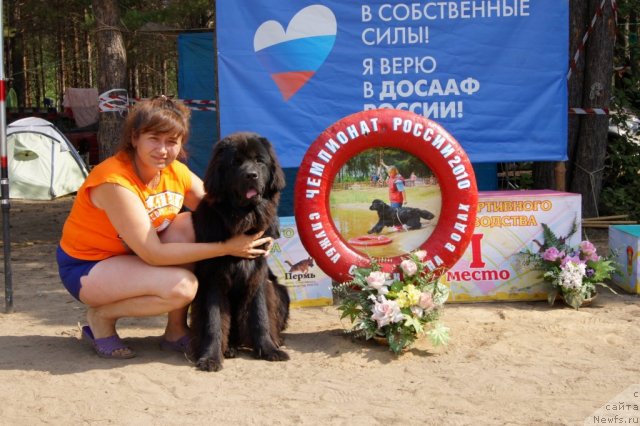 Фотография № 46751