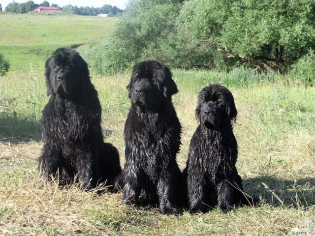 Фотография № 46752