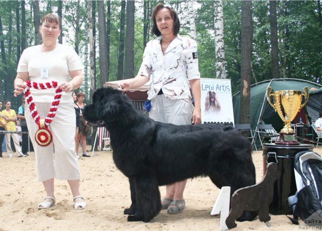 Фотография № 46757