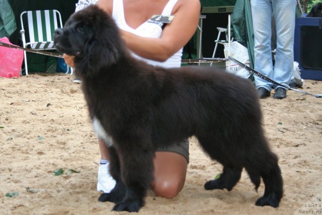 Фотография № 46759