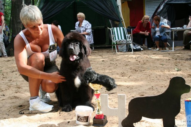 Фотография № 46760