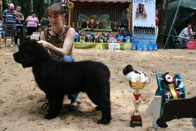 Фотография № 46761