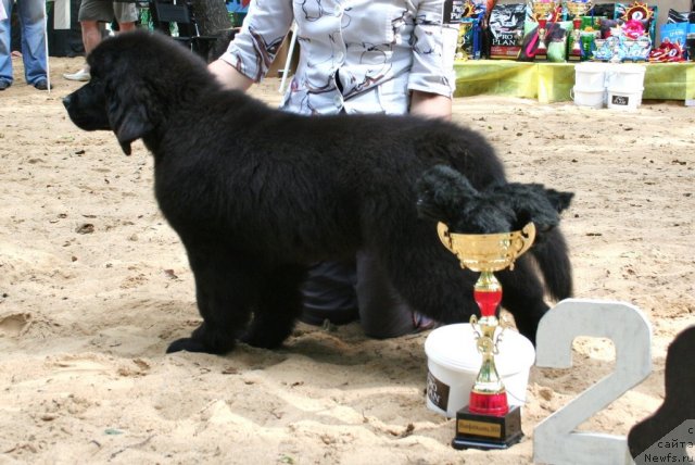 Фотография № 46762