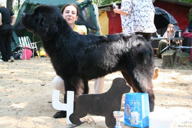 Фотография № 46764