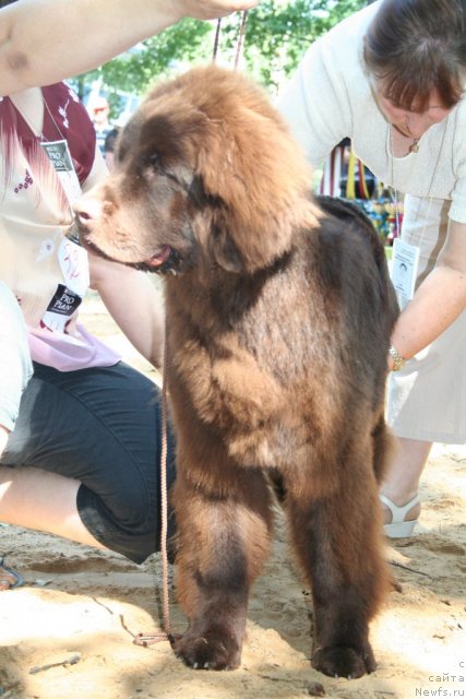 Фотография № 46768