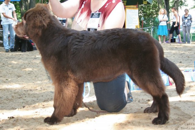 Фотография № 46769