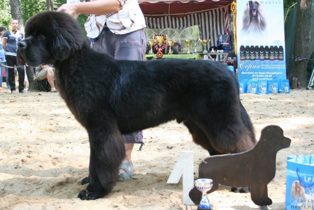 Фотография № 46770